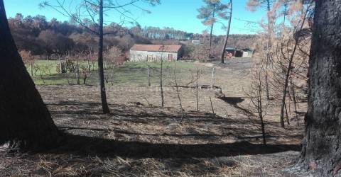Quintinha  Venda em Sameice e Santa Eulália,Seia