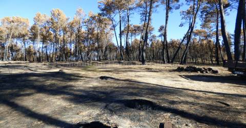 Quintinha  Venda em Sameice e Santa Eulália,Seia
