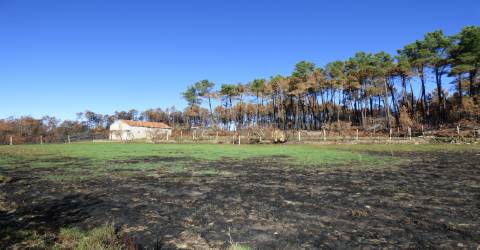 Quintinha  Venda em Sameice e Santa Eulália,Seia