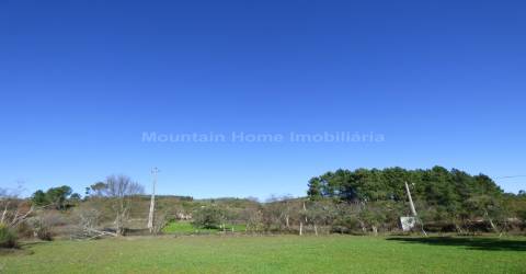 Terreno  Venda em Abrunhosa-a-Velha,Mangualde