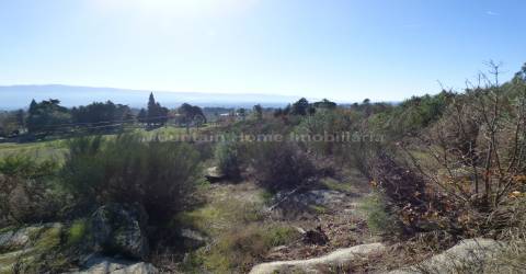 Terreno  Venda em Abrunhosa-a-Velha,Mangualde