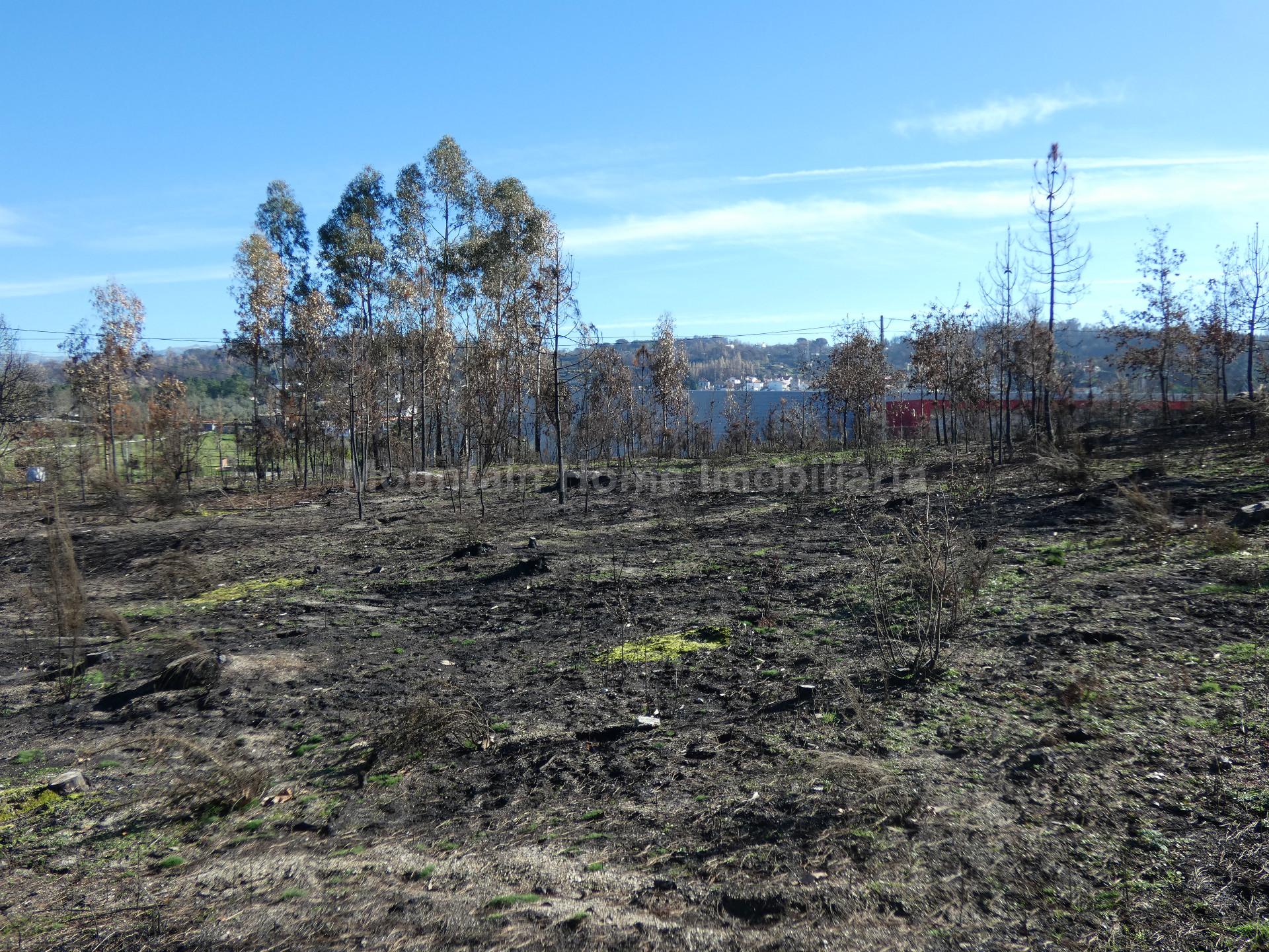 Terreno  Venda em Lagos da Beira e Lajeosa,Oliveira do Hospital