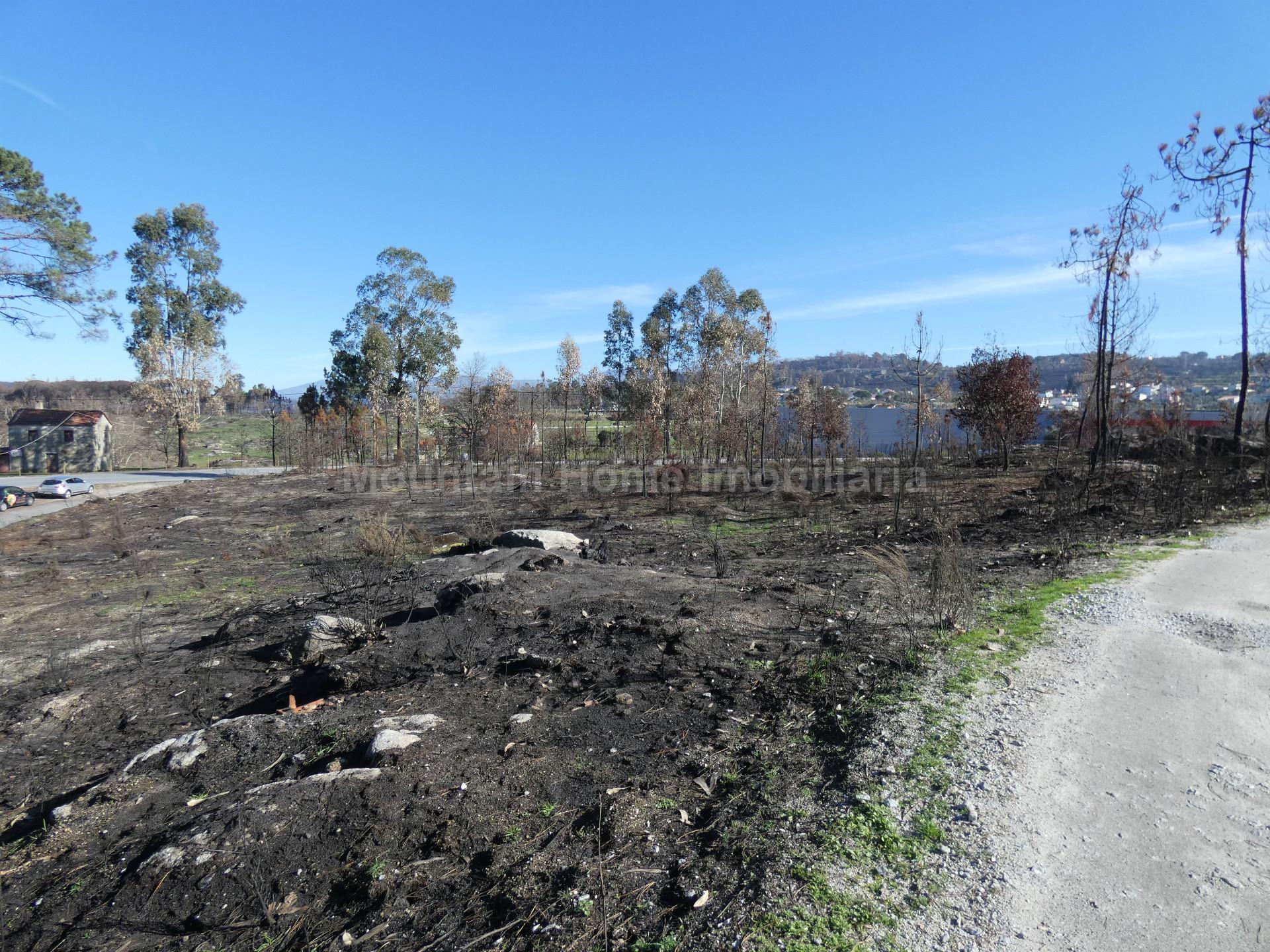 Terreno  Venda em Lagos da Beira e Lajeosa,Oliveira do Hospital