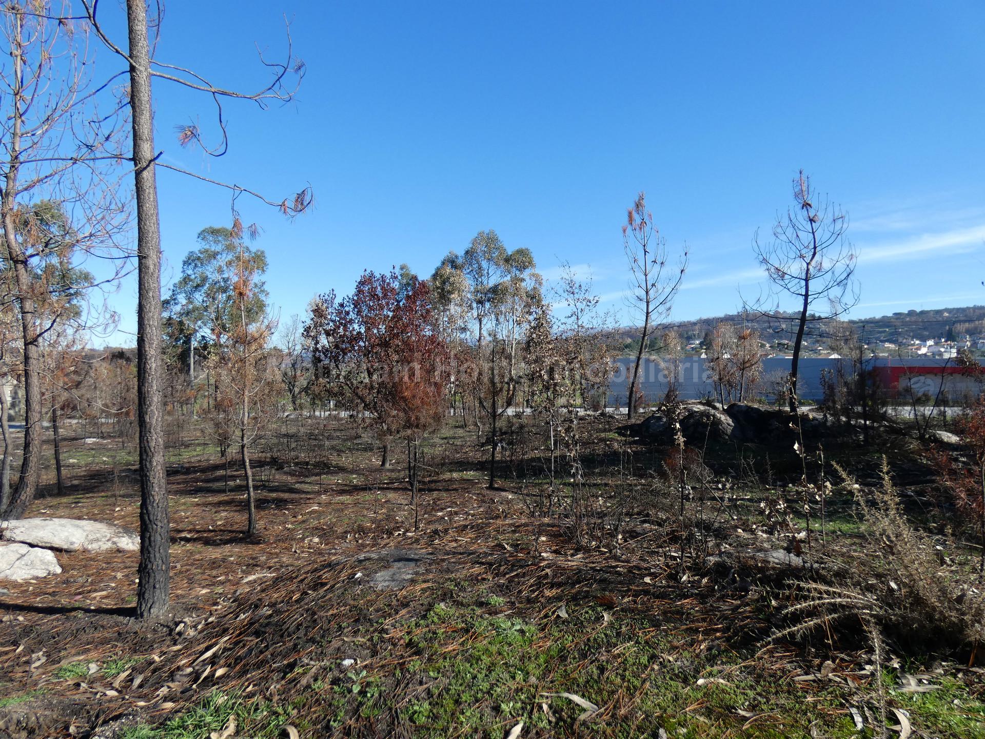 Terreno  Venda em Lagos da Beira e Lajeosa,Oliveira do Hospital