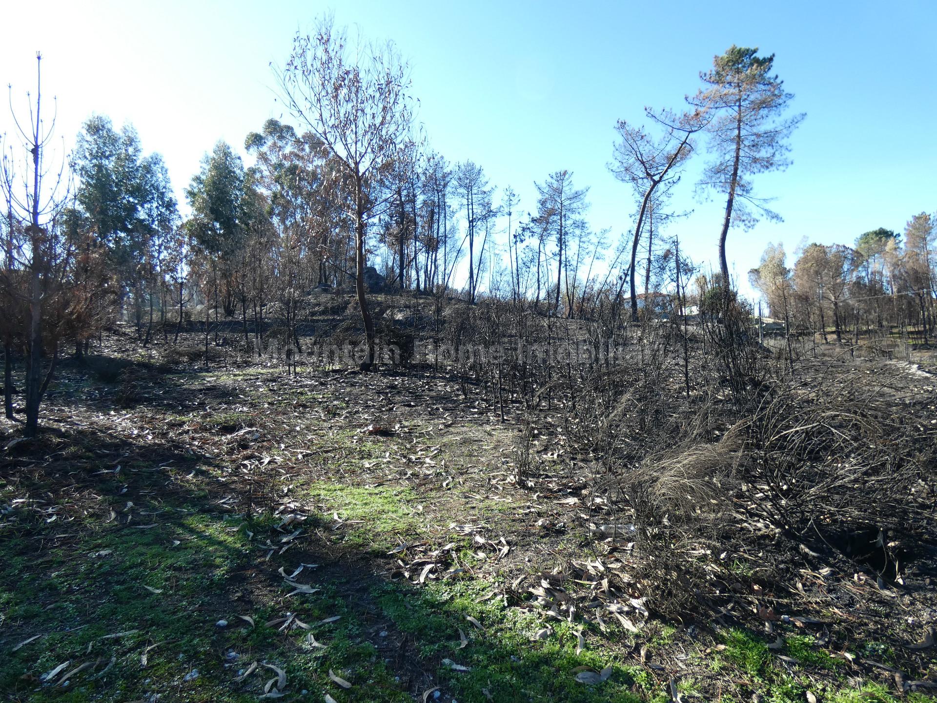 Terreno  Venda em Lagos da Beira e Lajeosa,Oliveira do Hospital