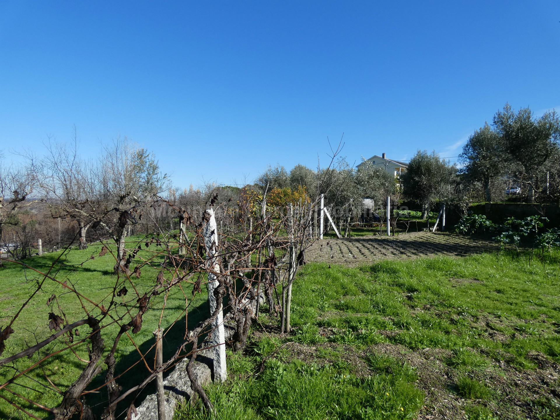 Terreno  Venda em Lagares,Oliveira do Hospital