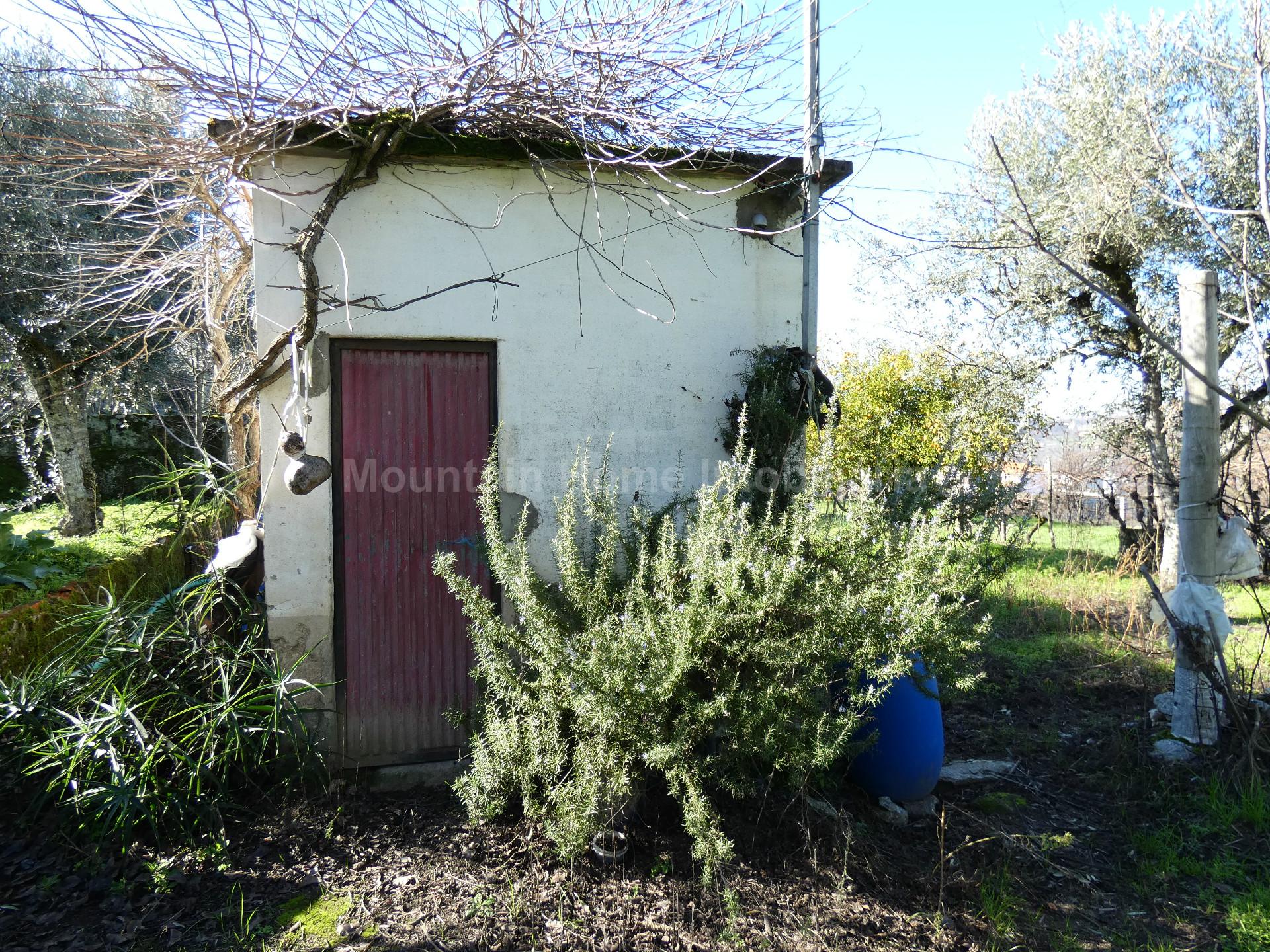 Terreno  Venda em Lagares,Oliveira do Hospital