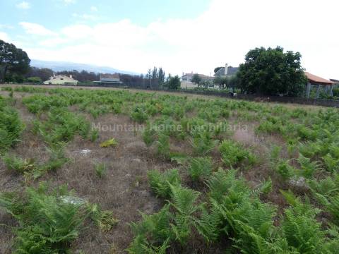 Terreno Para Construção  Venda em Tourais e Lajes,Seia