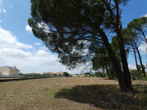 Terreno Para Construção  Venda em Tourais e Lajes,Seia
