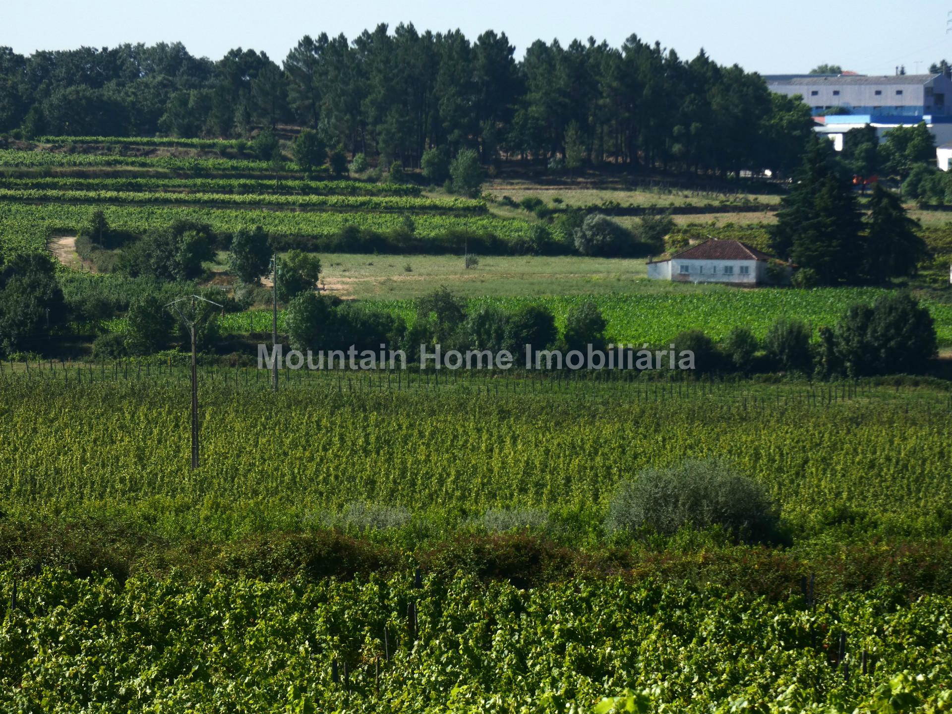 Quinta  Venda em Belmonte e Colmeal da Torre,Belmonte