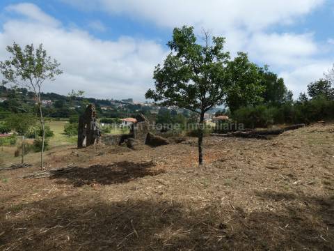 Quintinha  Venda em Santiago,Seia