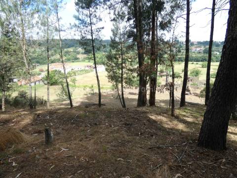 Quintinha  Venda em Santiago,Seia