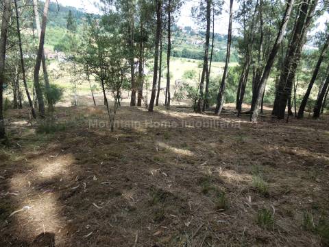 Quintinha  Venda em Santiago,Seia