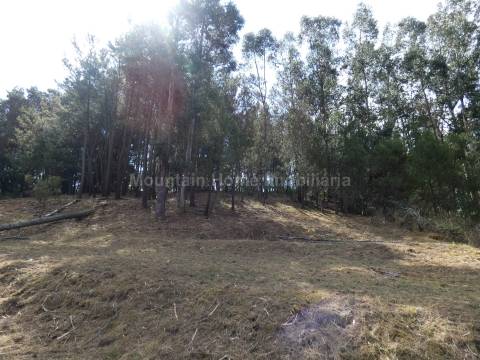 Quintinha  Venda em Santiago,Seia