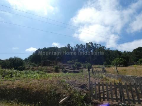 Quintinha  Venda em Santiago,Seia