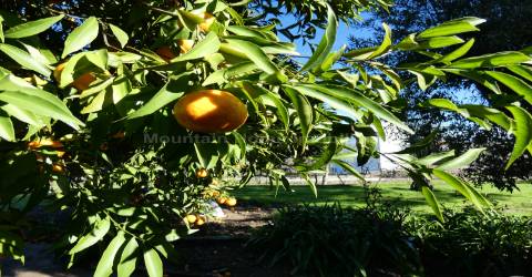 Moradia T5 Venda em Lagares,Oliveira do Hospital