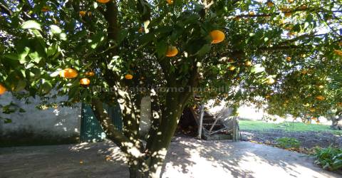 Moradia T5 Venda em Lagares,Oliveira do Hospital