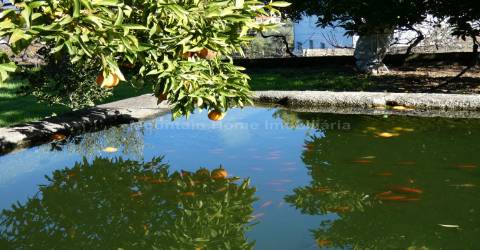 Moradia T5 Venda em Lagares,Oliveira do Hospital