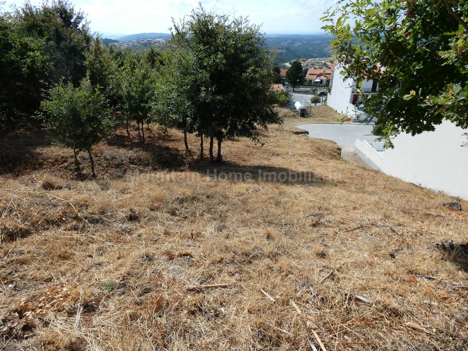 Lote de Terreno  Venda em Seia, São Romão e Lapa dos Dinheiros,Seia