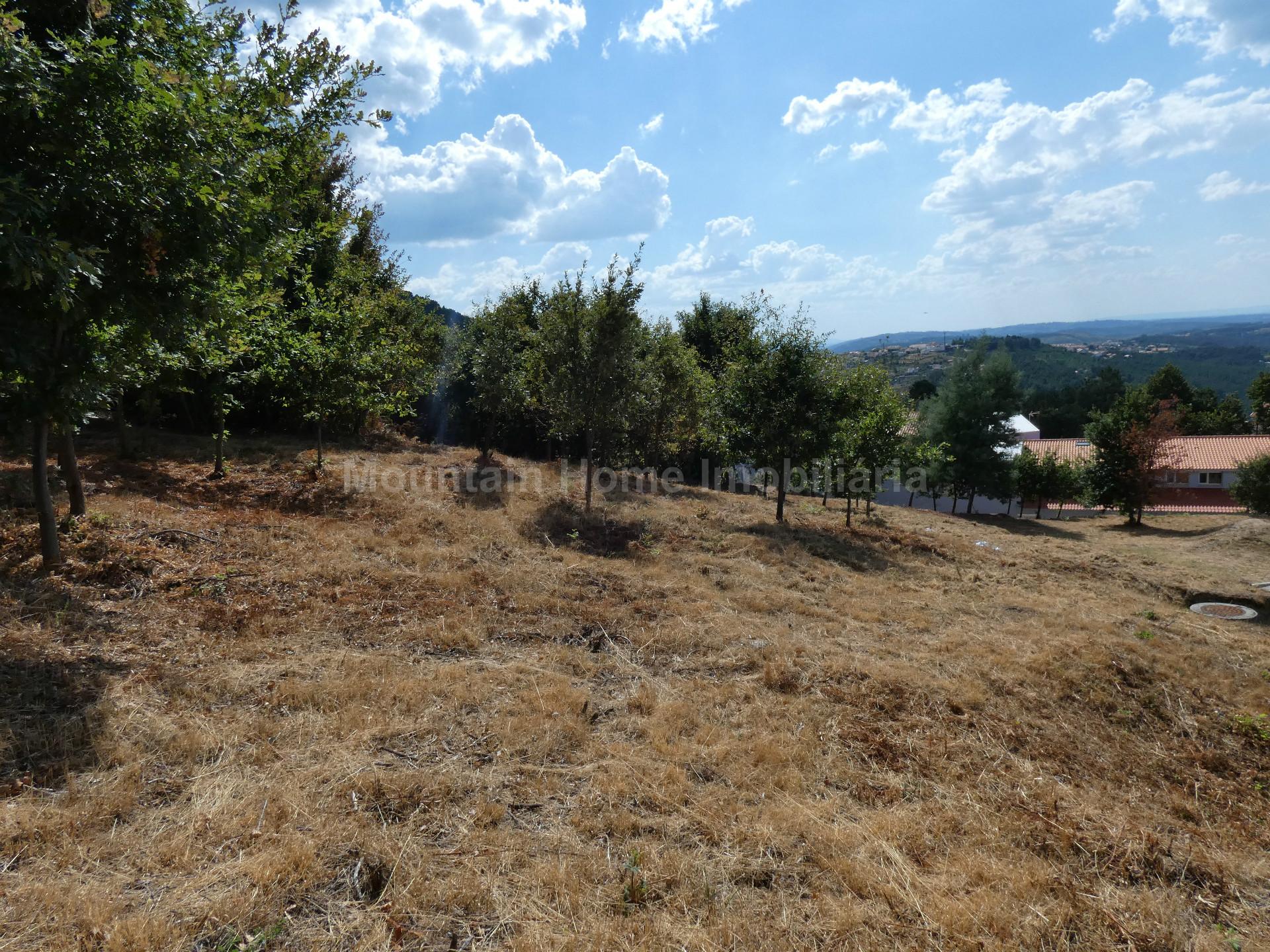 Lote de Terreno  Venda em Seia, São Romão e Lapa dos Dinheiros,Seia