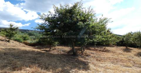 Lote de Terreno  Venda em Seia, São Romão e Lapa dos Dinheiros,Seia