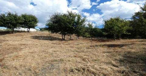 Lote de Terreno  Venda em Seia, São Romão e Lapa dos Dinheiros,Seia