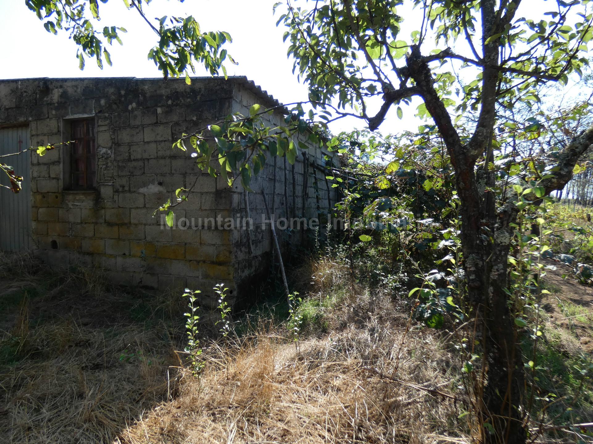 Quintinha  Venda em São Gião,Oliveira do Hospital