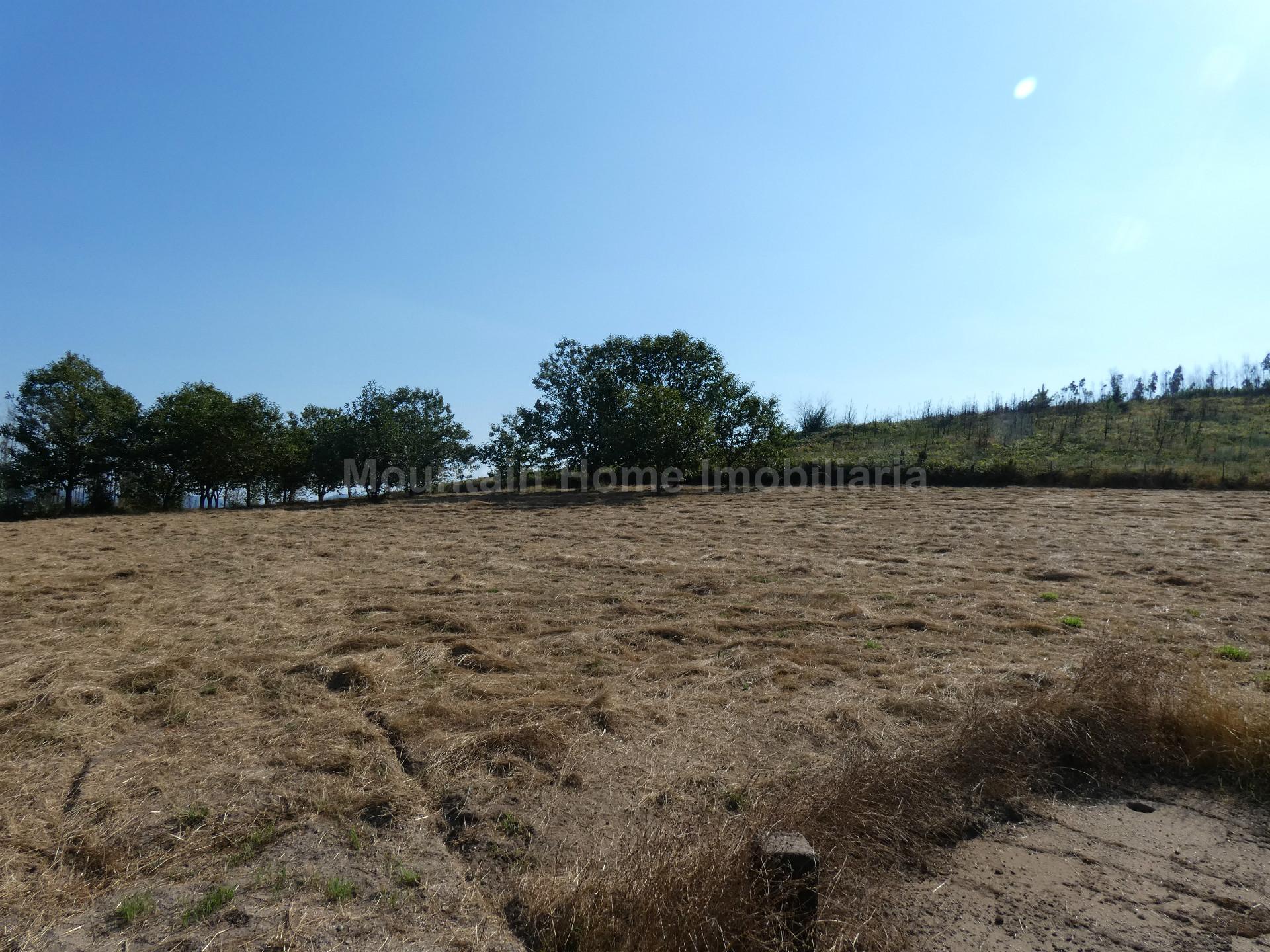 Quintinha  Venda em São Gião,Oliveira do Hospital