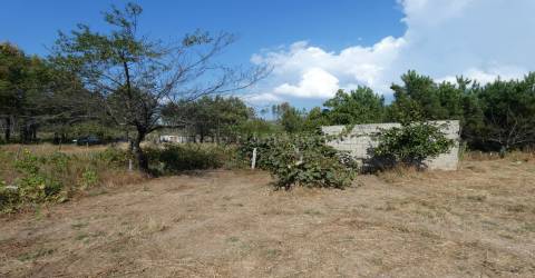 Quintinha  Venda em São Gião,Oliveira do Hospital