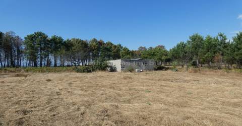 Quintinha  Venda em São Gião,Oliveira do Hospital