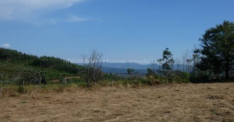 Quintinha  Venda em São Gião,Oliveira do Hospital
