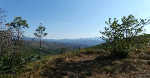 Quintinha  Venda em São Gião,Oliveira do Hospital