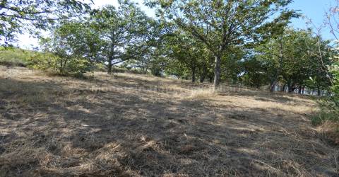 Quintinha  Venda em São Gião,Oliveira do Hospital