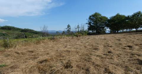 Quintinha  Venda em São Gião,Oliveira do Hospital