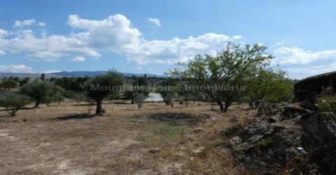 Quintinha  Venda em Arcozelo,Gouveia
