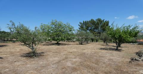 Quintinha  Venda em Arcozelo,Gouveia