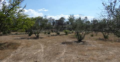 Quintinha  Venda em Arcozelo,Gouveia