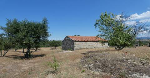 Quintinha  Venda em Arcozelo,Gouveia