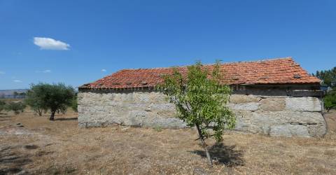 Quintinha  Venda em Arcozelo,Gouveia