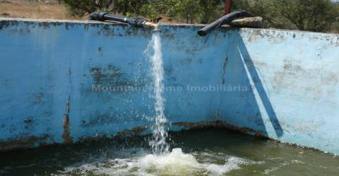 Quintinha  Venda em Arcozelo,Gouveia