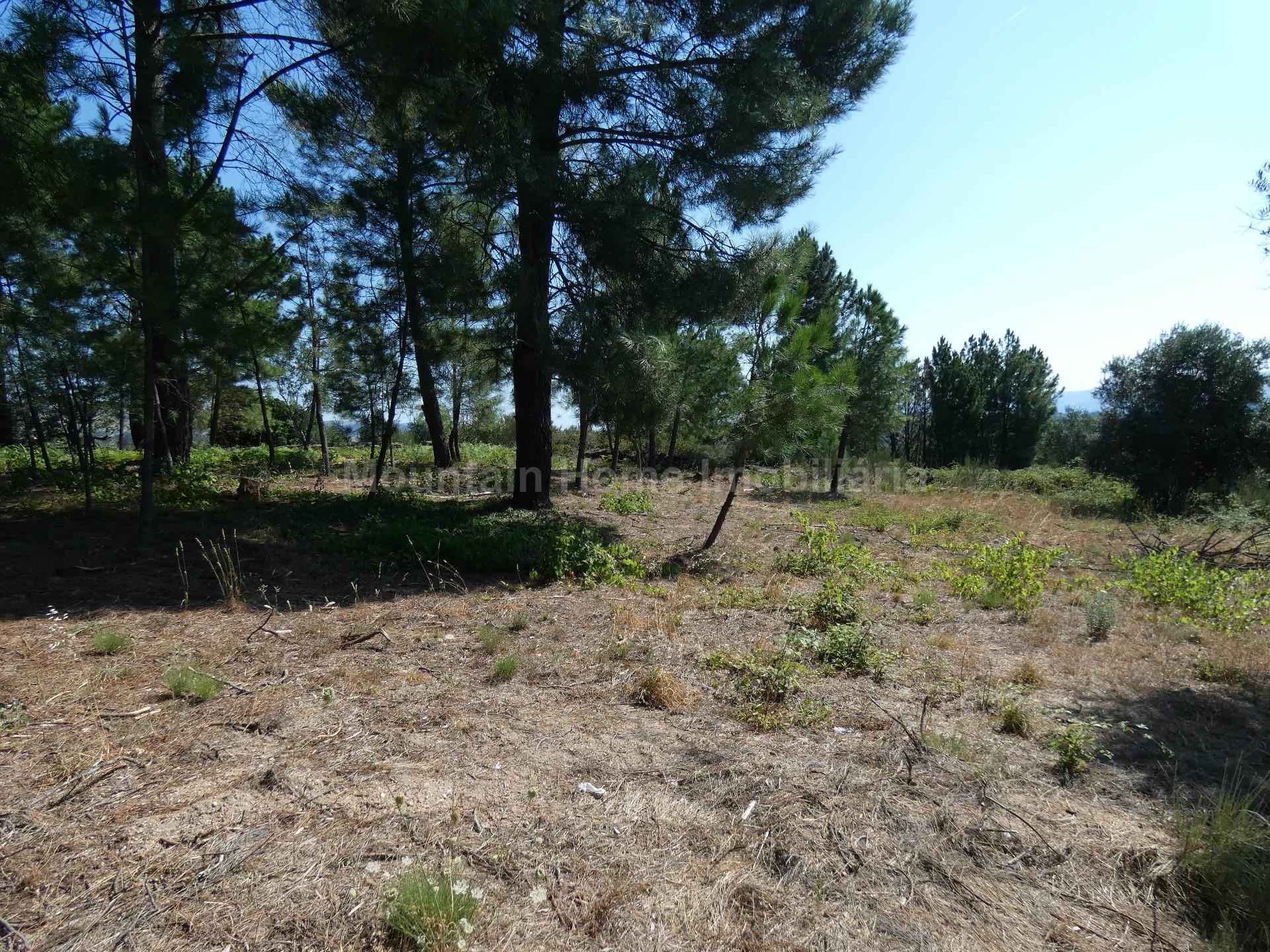 Terreno  Venda em Cativelos,Gouveia