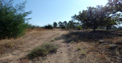 Terreno  Venda em Vila Nova de Tazem,Gouveia