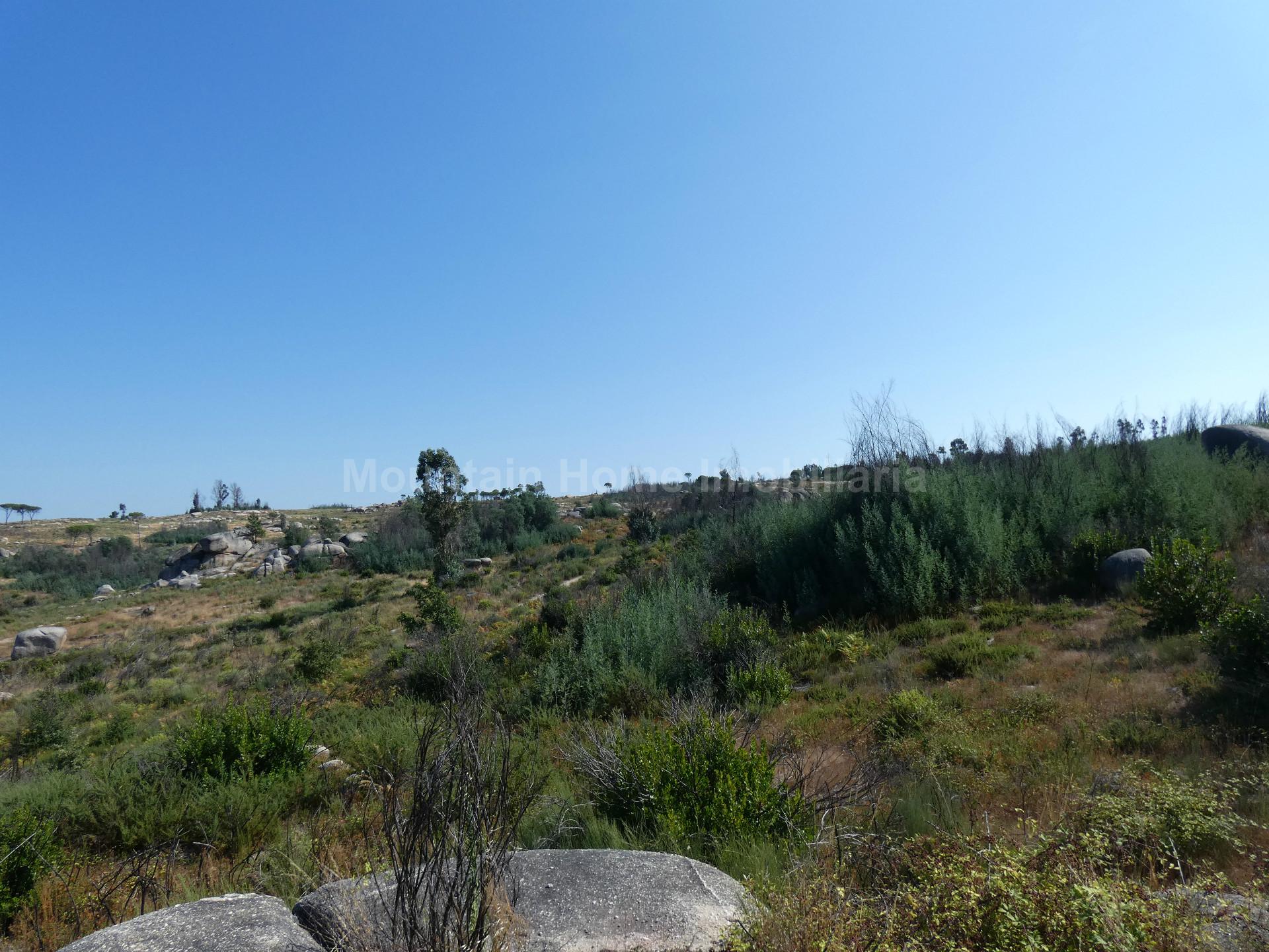 Terreno  Venda em Vila Nova de Tazem,Gouveia