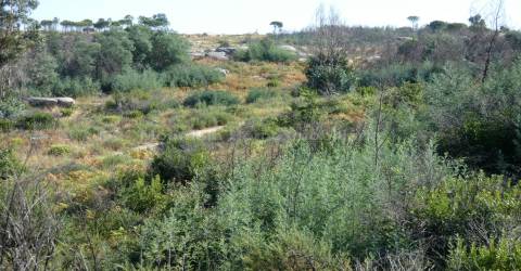 Terreno  Venda em Vila Nova de Tazem,Gouveia