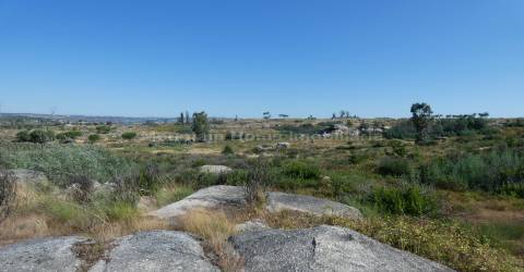 Terreno  Venda em Vila Nova de Tazem,Gouveia