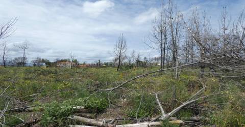 Moradia T2 Venda em Travanca de Lagos,Oliveira do Hospital