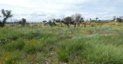 Moradia T2 Venda em Travanca de Lagos,Oliveira do Hospital
