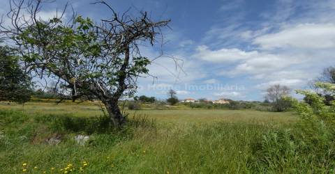 Moradia T2 Venda em Travanca de Lagos,Oliveira do Hospital