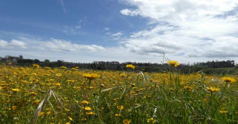 Moradia T2 Venda em Travanca de Lagos,Oliveira do Hospital