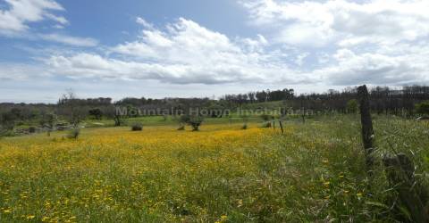 Moradia T2 Venda em Travanca de Lagos,Oliveira do Hospital